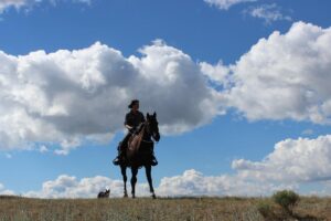 Bonanza Creek Montana