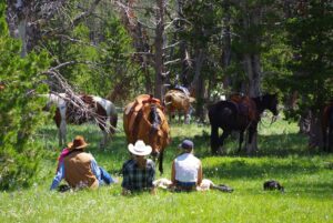 Bonanza Creek Montana