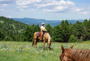 Bonanza Creek Montana