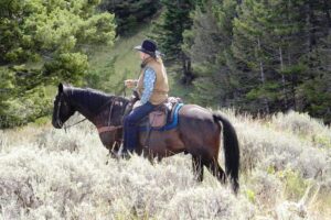 Bonanza Creek Montana