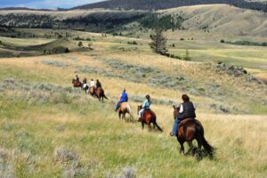 Bonanza Creek Montana