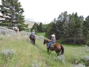 Bonanza Creek Montana