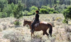 Bonanza Creek Montana