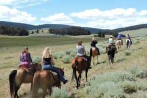 Bonanza Creek Montana