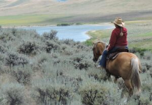 Bonanza Creek Montana