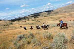 Bonanza Creek Montana
