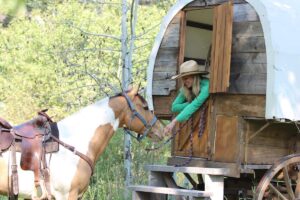 Bonanza Creek Montana