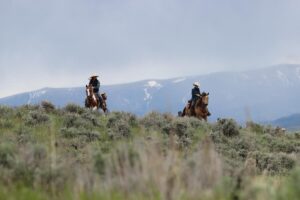 Bonanza Creek Montana